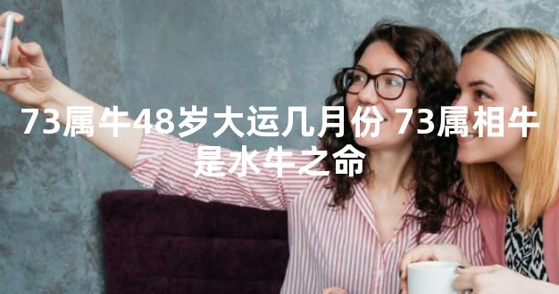 73属牛48岁大运几月份 73属相牛是水牛之命